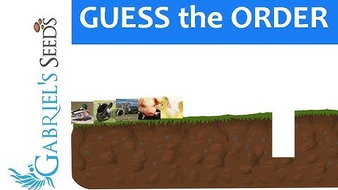 Guess the Order - Computational Thinking Game