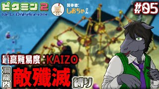 【ピクミン2 New Randomizer】洞窟内敵殲滅縛りに挑戦： 05【EquuStream V#445】