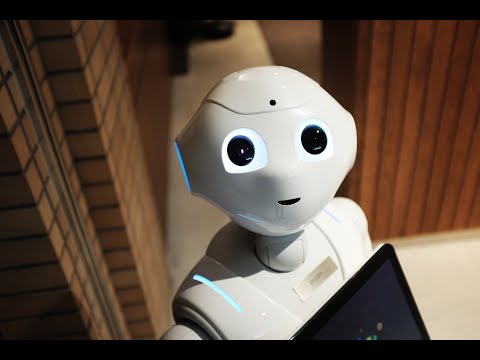 AI Chatbots: Your