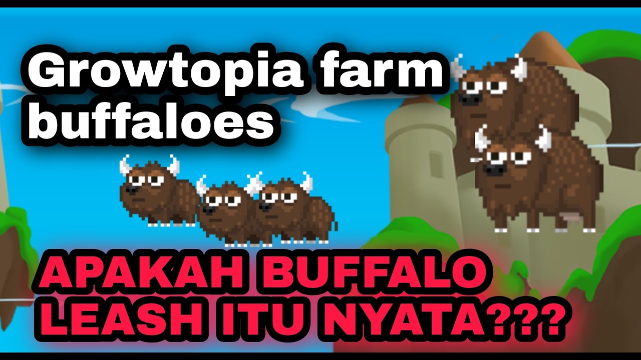 Farming Buffalo Apakah Buffalo Leash Itu Nyata YouTube farming-buffalo-apakah-buffalo-leash-itu-nyata-youtube