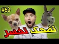 تضحك تخسر #63 : شيباني مني كيتلاقا بالكراش ديالو 😂