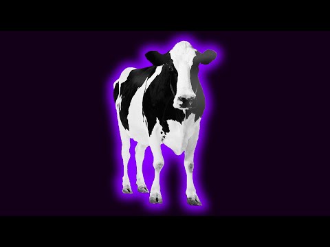 Cow \