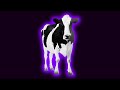 Cow "Moo" Sound Effects