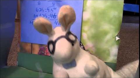 The Exponential Growth of Bunnies