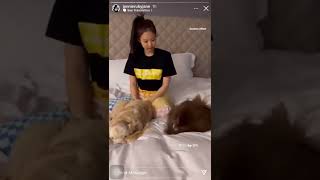 Blackpink Latest Ig Story With Her Babies Kai&Kuma 020422