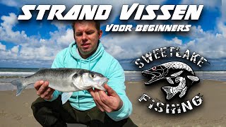 Download Lagu Strand vissen voor beginners / Zeebaars MP3
