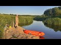 Пеше-водный поход. Сплав по реке Вязьма. Встреча с лосем! Заблудился в болотах...