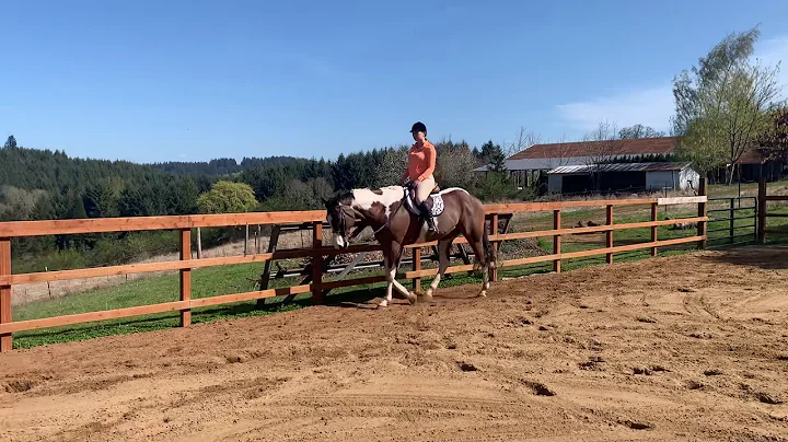 Elizabeth Kauffman (English walk/trot)