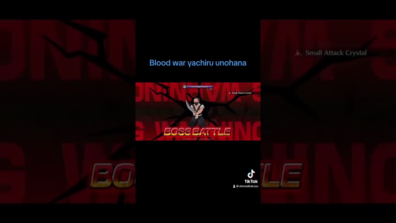 Yachiru blood war core 2 