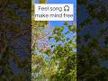 motivation for tech person with nature 🎧