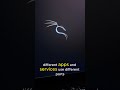 Day 1 of Learning Cybersecurity 🚀 | 3 Things Every Hacker Must Know 😈 #kalilinux #ethicalhacking