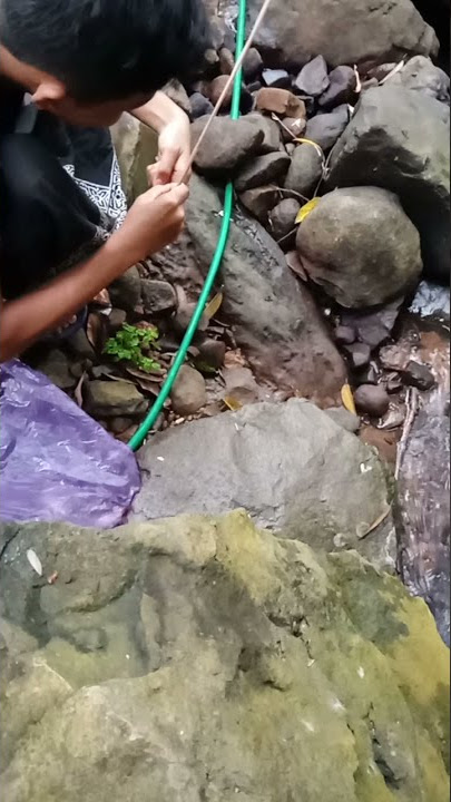 rejeki mancing pakai sarung#shorts