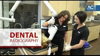 Veterinary Insights:  Dental Radiography by AnimalCareTV 11,768 views 7 years ago 1 minute, 7 seconds