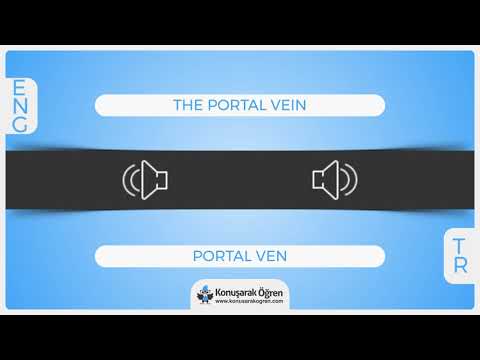 The portal vein Nedir? The portal vein İngilizce Türkçe Anlamı Ne Demek? Nasıl Okunur? Çeviri Sözlük