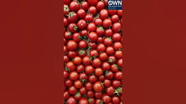 A Milestone for Agro-Industry: President Ibrahim Traoré Inaugurates National Tomato Factory