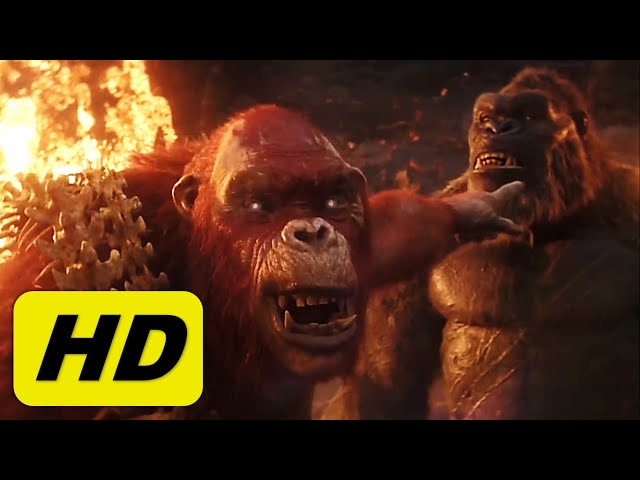Kong meets Skar King - Full Scene HD - Godzilla x Kong: The New Empire class=