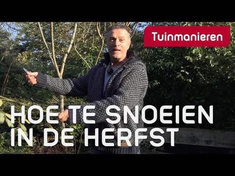 Video: Tips voor het verzorgen van het gazon: hoe u uw tuin veilig kunt houden voor huisdieren Deze herfst