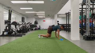 Linear Bear Crawl