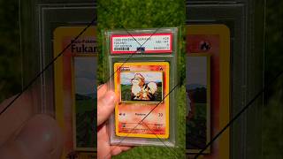 My Graded Pokémon Collection Showcase! 🃏✨