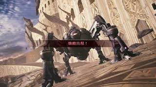 Mobius FF (JP) Endless War 2 Lap 17-7