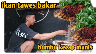 Grilled Tawes Fish with Sweet Soy Sauce Glaze