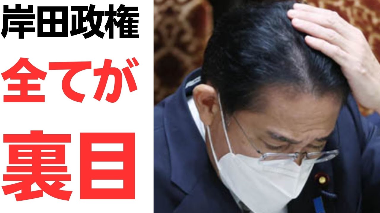 岸田政権の政策への反応を扱う動画のサムネイル