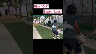 Cut shot #cricket #cricketfans #cricketlover #cricketshorts #crickethighlights #beginners #virat