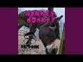 Wonkey donkey