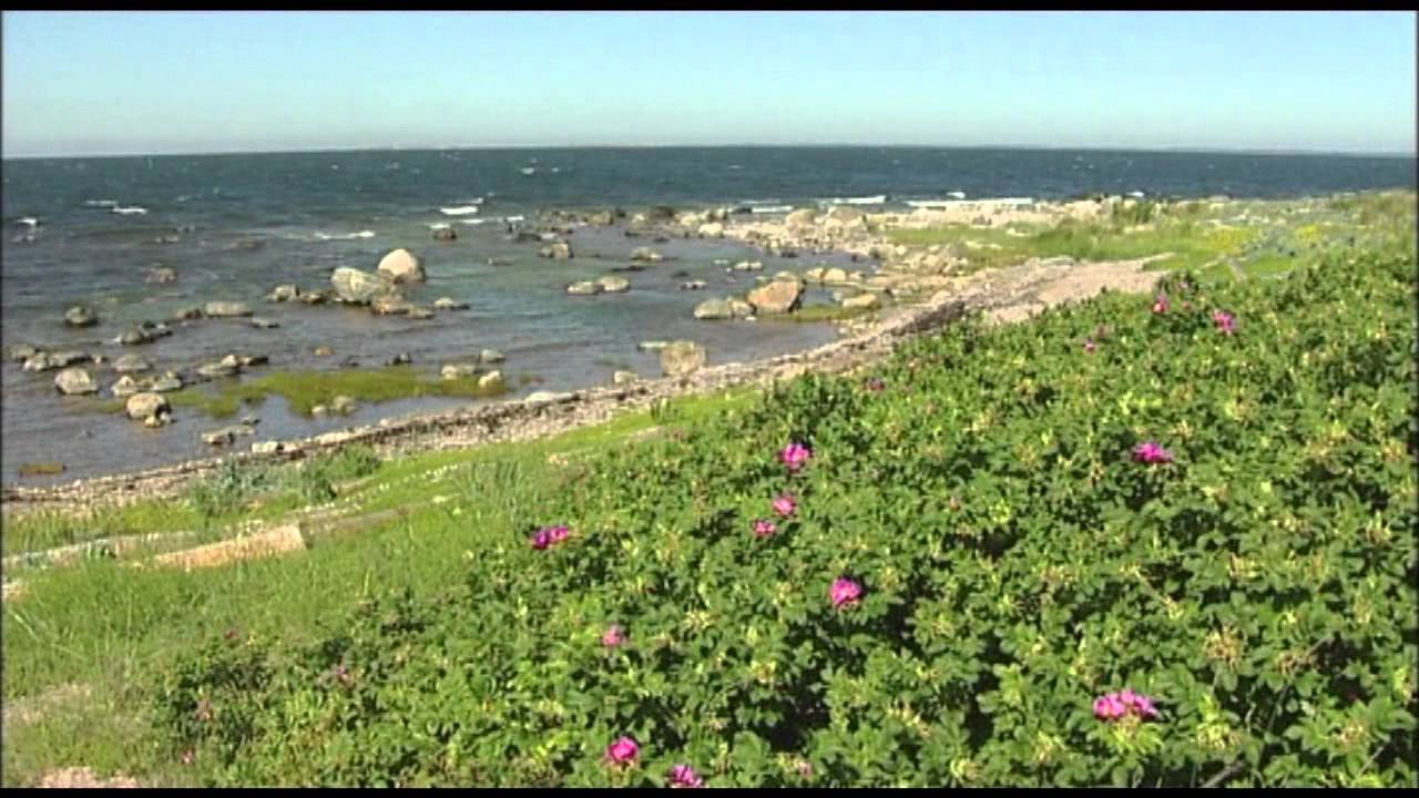 Armejan Aarteet Örön linnake