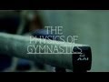 The Physics Of Gymnastics