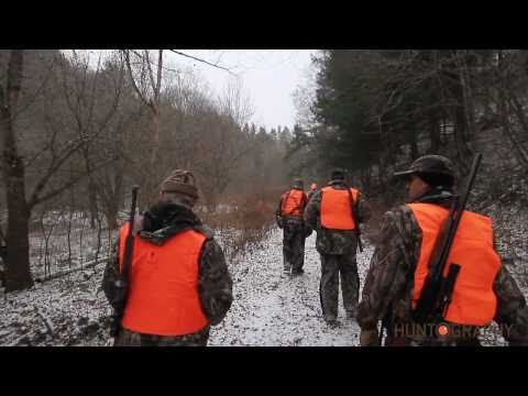 Ranker Video