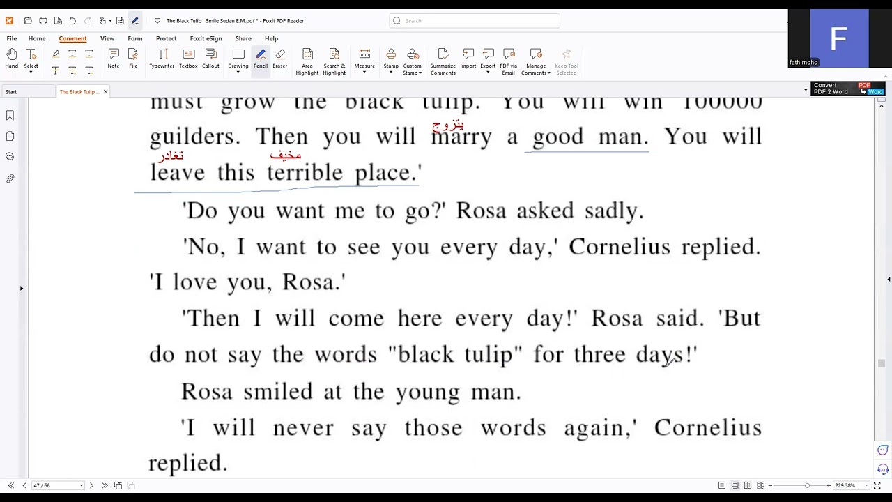 9 BLACK TULIP the black tulip