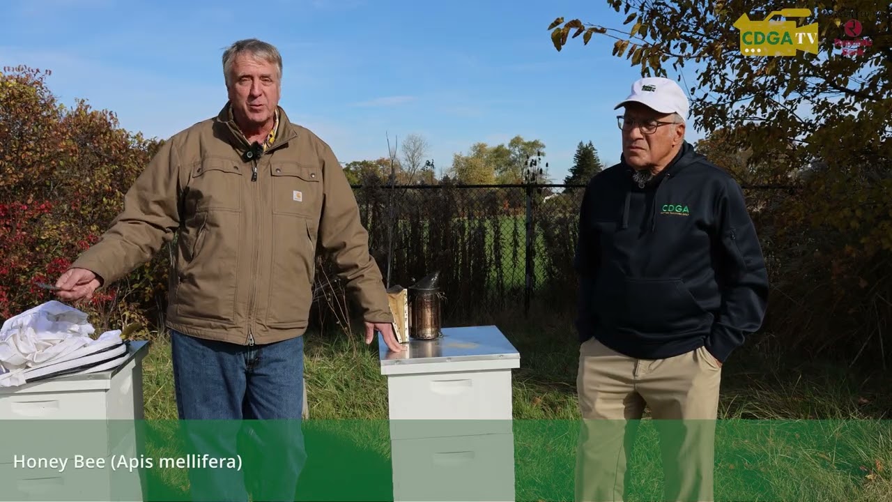 CDGA Turfgrass - Honey Bees - Role of Honey Bees in Ecological Balance