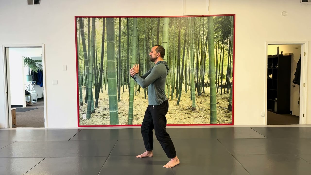 Тайцзицюань №3: очищение дыхания. Отталкивание, откат назад, надавливание и толчок.