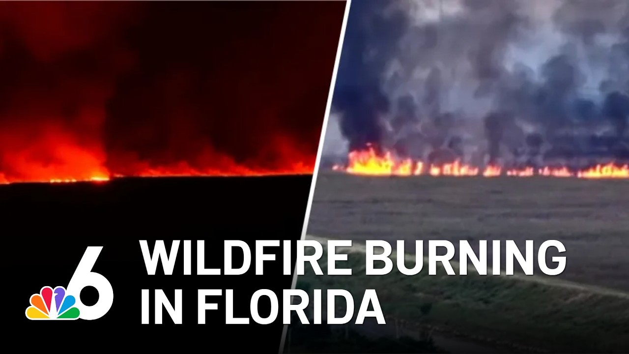 2 wildfires burning thousands of acres in Florida. What to know - YouTube