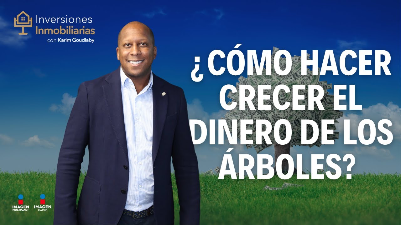 ¿Cómo hacer crecer el dinero de los árboles?