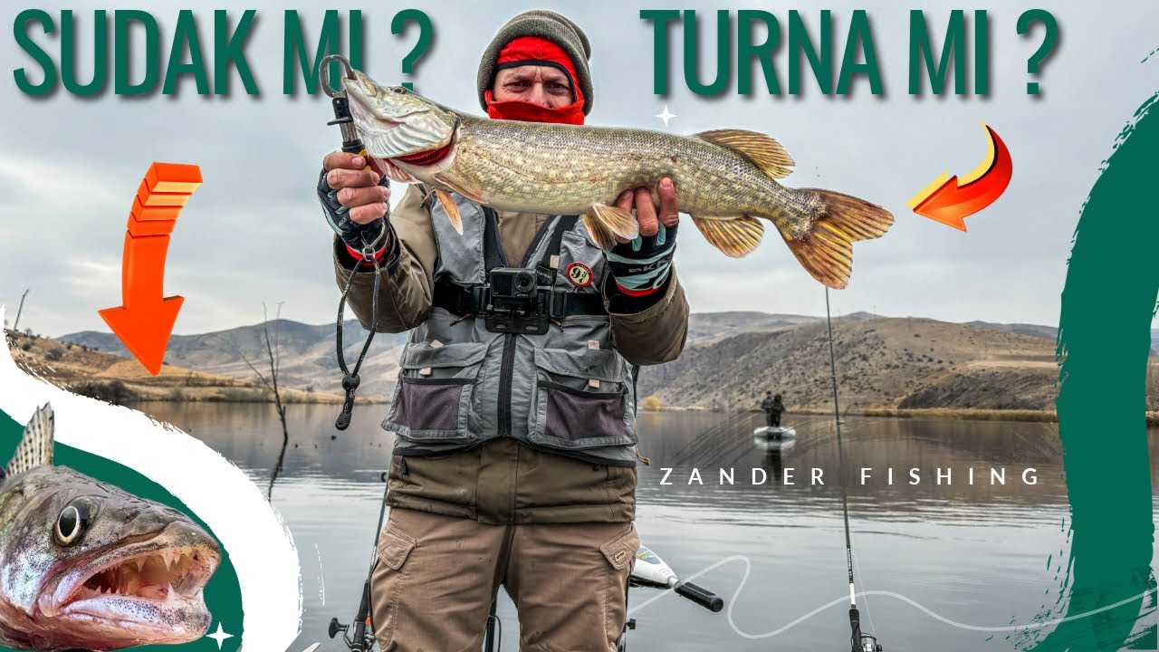 Sudak Avı Ankara |Pans Marine P355| ‪Winter Zander Fishing 2025