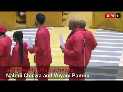malema's funny moments