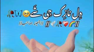 Dil Nazuk Ji Shaye | Slowed & Reverb By | Ahmed Nawaz Cheena