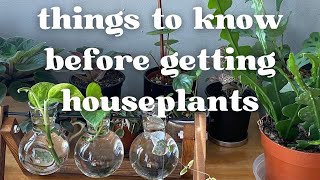 questions to ask yourself before getting houseplants || what I wish I knew
do you want to start a houseplant collection but have no idea how to take care of plants? dont know where to start when it comes to learning about them? Im sharing all my advice (as a plant parent to over 50 plants) on how to get started and set yourself up for success.
———
SUBSCRIBE TO MY MONTHLY CHECK-IN EMAIL! → https://forms.gle/rfrcSm2S1dPgxhNd6
✨ social media
instagram: https://www.instagram.com/grace.nevitt/
✨ details
camera: https://bhpho.to/3pcRP5r
✨ about my channel
Hello my beautiful sunshines! Welcome to this little corner of the internet, where I will be sharing the ups and downs of life and how to attempt to get through it in one piece. I’ll be sharing life advice, recipes, routines, vlogs, houseplant tips, and anything else that makes me happy! Life is messy and unpredictable, and learning how to manage these hurdles is the first step to leading a happier and more intentional life. I just wanted to create a safe space for us to unwind, and allow you to leave here feeling more inspired than when you arrived.
Sending you all my love,
Grace questions to ask yourself before getting houseplants || what I wish I knew