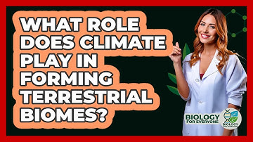 What Role Does Climate Play In Forming Terrestrial Biomes? - Biology For Everyone