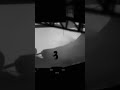『あなたはこの世界に耐えられますか？』LIMBO チャプター33「天国と地獄の狭間」1minuteカケル78 #limbo #indiegame #ペンギン兄弟