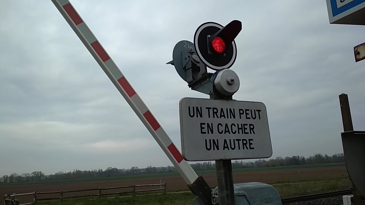 Train à un passage à niveau #24 (Deux trains TER) (klaxon)