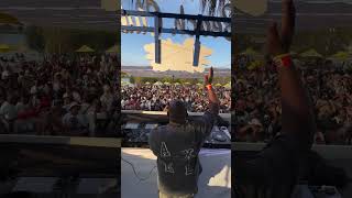 Darque Was At Rocking The Daisies