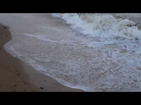Panasonic Lumix G90 video footage (1080p)
