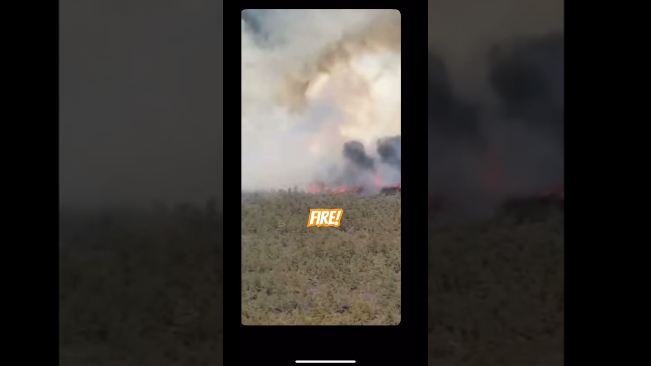 Raging Wildfire in the Pine Barrens | Aerial Footage Captures Intense Blaze