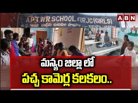 మన్యం జిల్లా లో పచ్చ కామెర్ల కలకలం.. | Jaundice In Manyam District | ABN Telugu - ABNTELUGUTV
