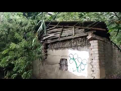 Cyclone Bulbul Destroys Thatched Houses in Sunderban