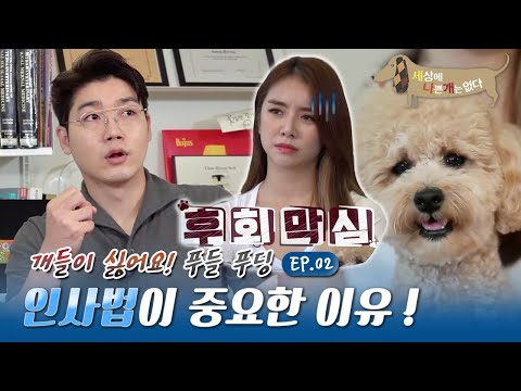 세상에 나쁜 개는 없다 - 나는 트로트 가수와 산다_#002