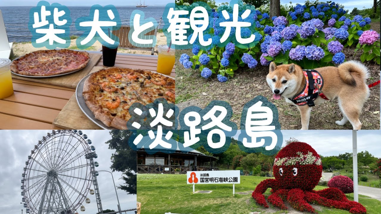 柴犬と観光　in淡路島